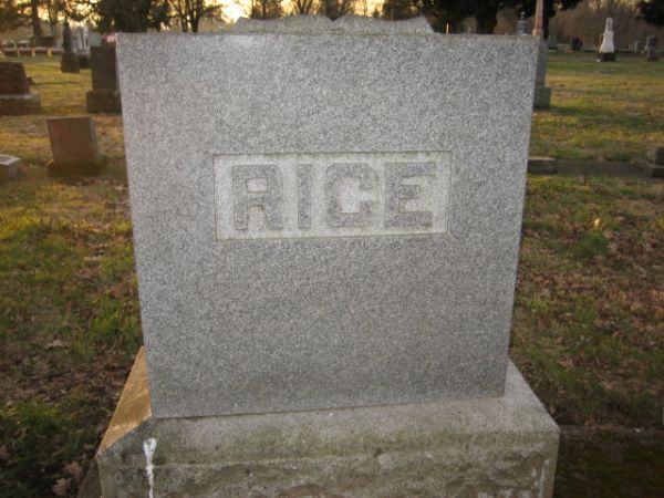 rice