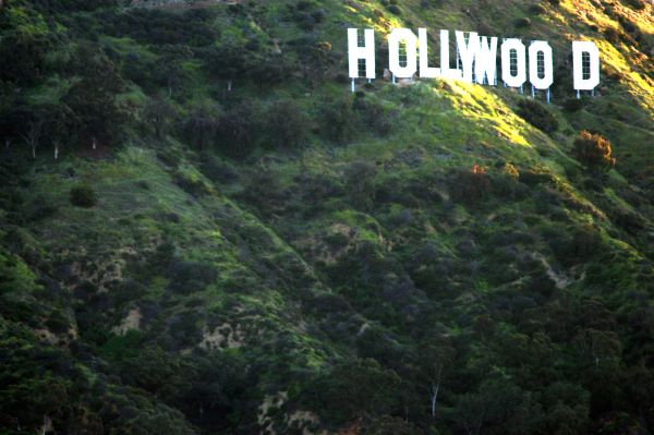 hollywood